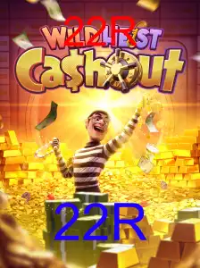 WildHeistCashout